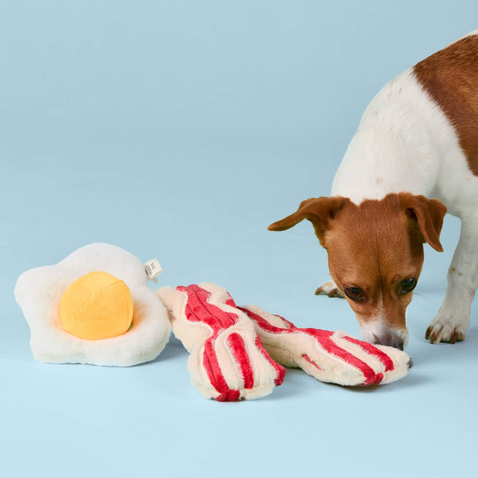 Bacon and Egg Interactive Toy Set from The Foggy Dog