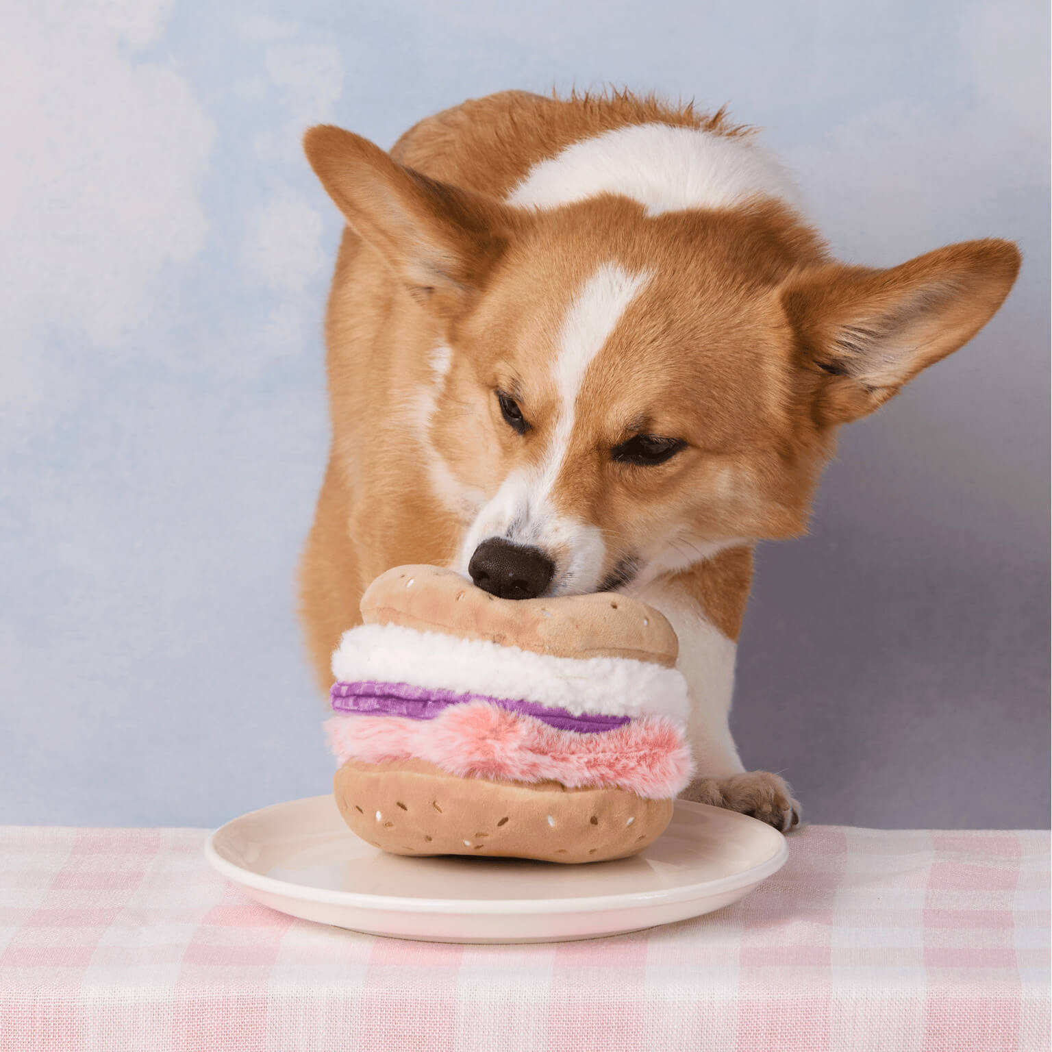 Bagel and Lox Interactive Snuffle Dog Toy from The Foggy Dog